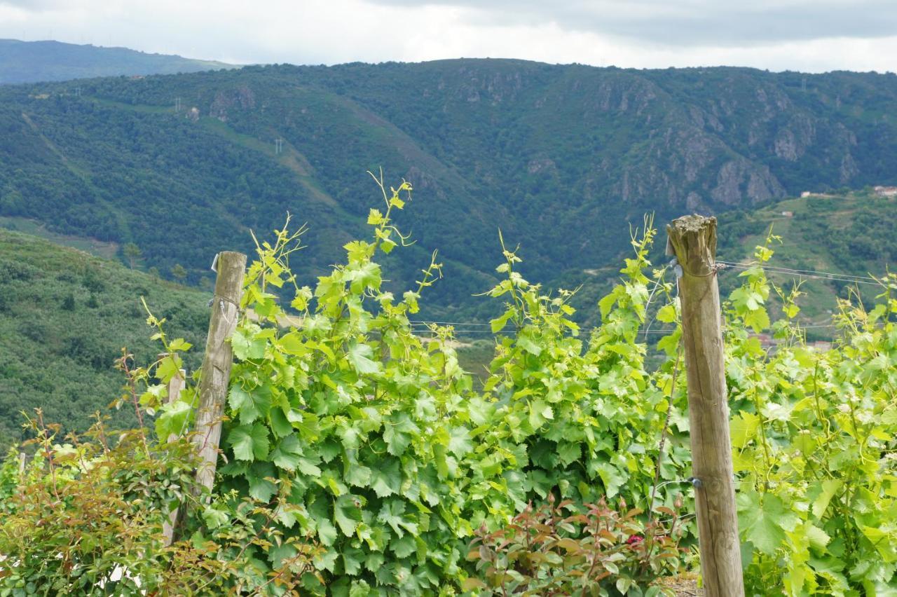 Apartament O Muino Casa Ferrador Ribeira Sacra Barantes Zewnętrze zdjęcie